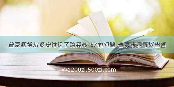 普京和埃尔多安讨论了购买苏-57的问题 普京表示可以出售