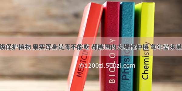 国家二级保护植物 果实浑身是毒不能吃 却被国内大规模种植 每年需求量80万吨