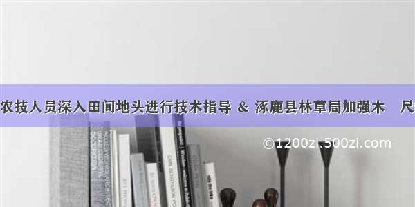 农林 | 农技人员深入田间地头进行技术指导 ＆ 涿鹿县林草局加强木橑尺蠖防控