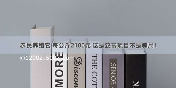 农民养殖它 每公斤2100元 这是致富项目不是骗局！