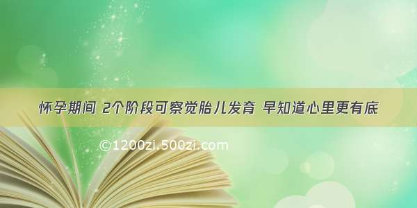 怀孕期间 2个阶段可察觉胎儿发育 早知道心里更有底