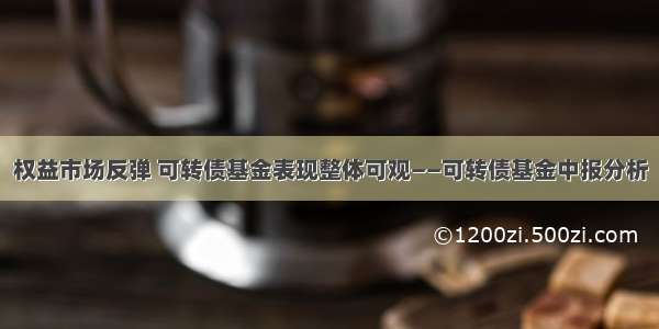 权益市场反弹 可转债基金表现整体可观——可转债基金中报分析