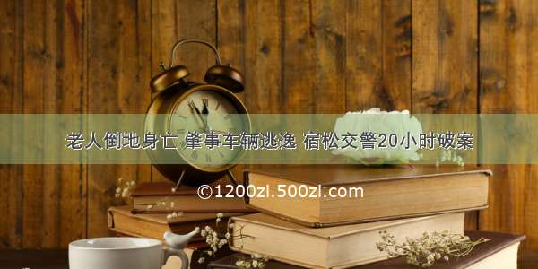 老人倒地身亡 肇事车辆逃逸 宿松交警20小时破案