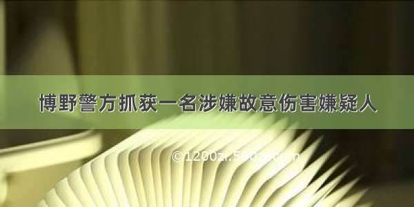 博野警方抓获一名涉嫌故意伤害嫌疑人