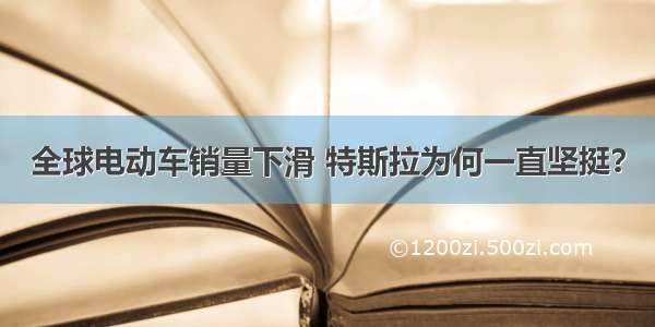 全球电动车销量下滑 特斯拉为何一直坚挺？