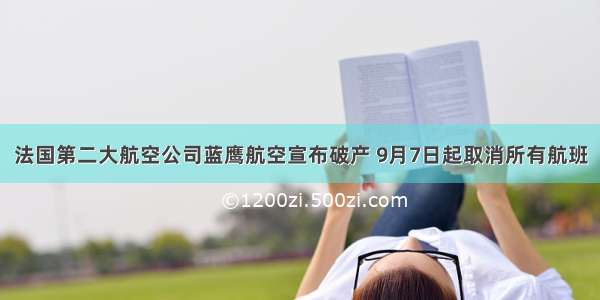 法国第二大航空公司蓝鹰航空宣布破产 9月7日起取消所有航班