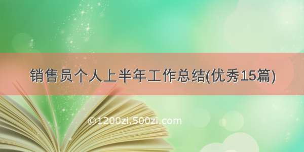 销售员个人上半年工作总结(优秀15篇)