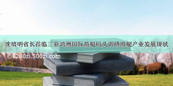沈晓明省长莅临三亚鸿洲国际游艇码头调研游艇产业发展现状