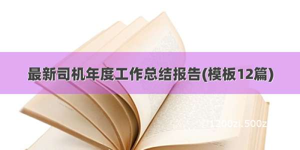 最新司机年度工作总结报告(模板12篇)