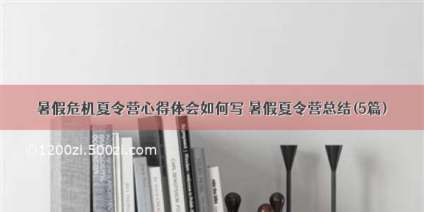 暑假危机夏令营心得体会如何写 暑假夏令营总结(5篇)