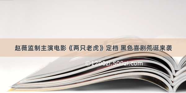 赵薇监制主演电影《两只老虎》定档 黑色喜剧荒诞来袭