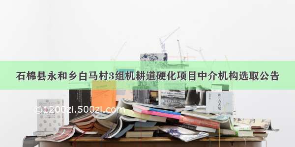 石棉县永和乡白马村3组机耕道硬化项目中介机构选取公告