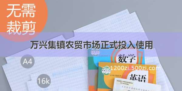 万兴集镇农贸市场正式投入使用