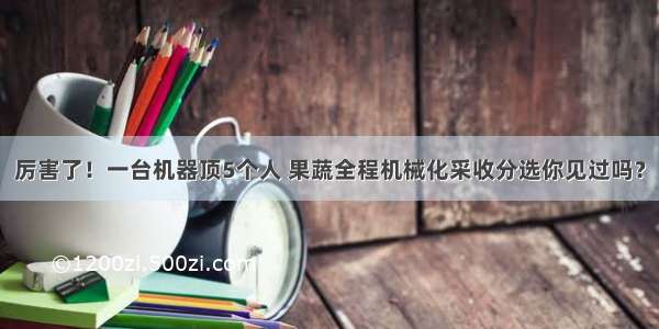 厉害了！一台机器顶5个人 果蔬全程机械化采收分选你见过吗？