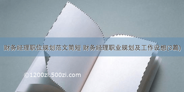 财务经理职位规划范文简短 财务经理职业规划及工作设想(3篇)