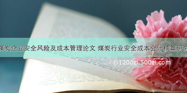 我国煤炭企业安全风险及成本管理论文 煤炭行业安全成本会计核算研究(7篇)