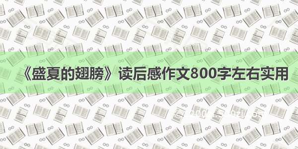 《盛夏的翅膀》读后感作文800字左右实用