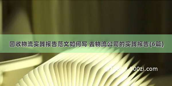 回收物流实践报告范文如何写 去物流公司的实践报告(6篇)