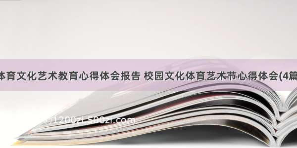 体育文化艺术教育心得体会报告 校园文化体育艺术节心得体会(4篇)