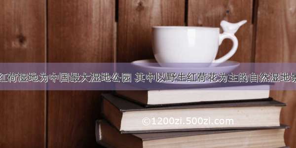 滕州微山湖红荷湿地为中国最大湿地公园 其中以野生红荷花为主的自然湿地景观为华东独