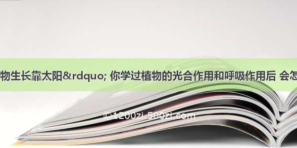 单选题“万物生长靠太阳” 你学过植物的光合作用和呼吸作用后 会怎样更深刻的理解这