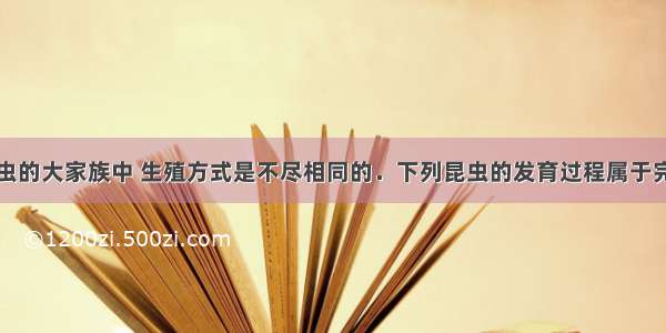 单选题在昆虫的大家族中 生殖方式是不尽相同的．下列昆虫的发育过程属于完全变态的是