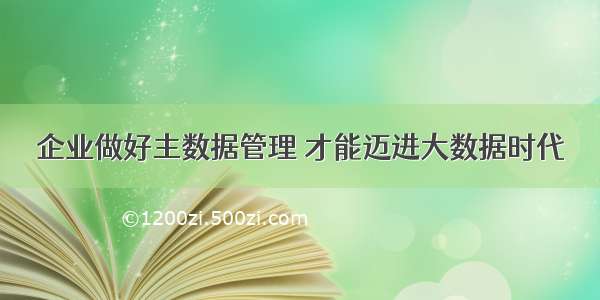 企业做好主数据管理 才能迈进大数据时代