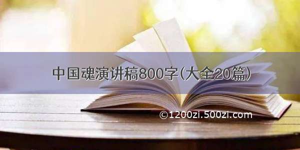 中国魂演讲稿800字(大全20篇)