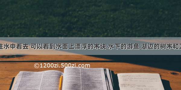 站在湖边往水中看去 可以看到水面上漂浮的木块 水下的游鱼 湖边的树木和蓝天中的白