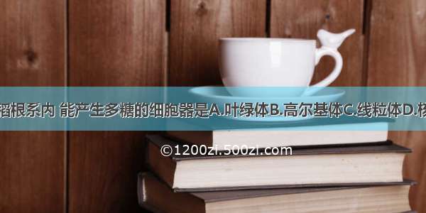 在水稻根系内 能产生多糖的细胞器是A.叶绿体B.高尔基体C.线粒体D.核糖体