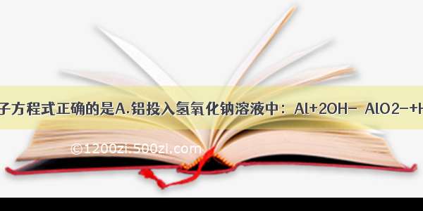 下列反应的离子方程式正确的是A.铝投入氢氧化钠溶液中：Al+2OH-═AlO2-+H2↑B.以惰性