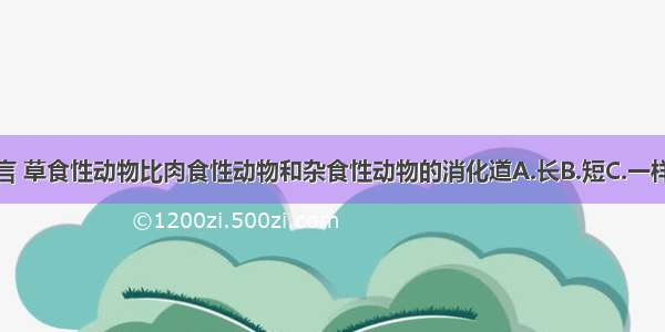 一般而言 草食性动物比肉食性动物和杂食性动物的消化道A.长B.短C.一样长D.不