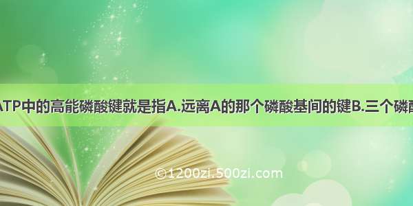 单选题ATP中的高能磷酸键就是指A.远离A的那个磷酸基间的键B.三个磷酸基间的