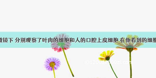 亮亮的显微镜下 分别观察了叶肉的细胞和人的口腔上皮细胞 在他看到的细胞结构中 人