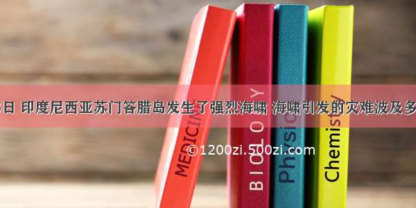 12月26日 印度尼西亚苏门答腊岛发生了强烈海啸 海啸引发的灾难波及多个国家 