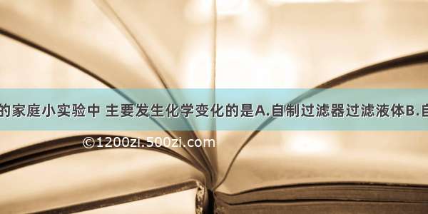 在下列图示的家庭小实验中 主要发生化学变化的是A.自制过滤器过滤液体B.自制汽水C.比