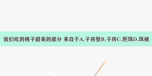 我们吃的桃子甜美的部分 来自于A.子房壁B.子房C.胚珠D.珠被