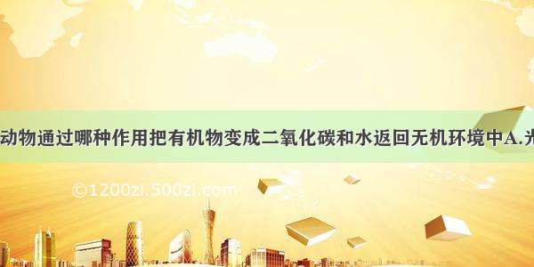 生态系统中 动物通过哪种作用把有机物变成二氧化碳和水返回无机环境中A.光合作用B.呼