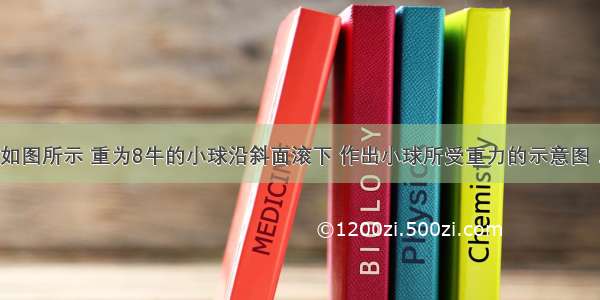 如图所示 重为8牛的小球沿斜面滚下 作出小球所受重力的示意图．