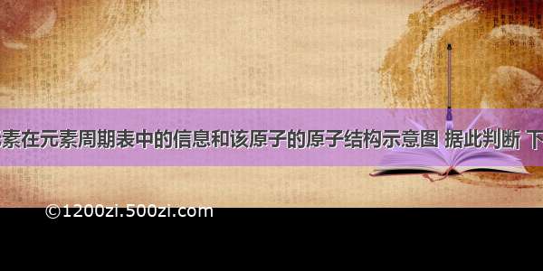 如图是镁元素在元素周期表中的信息和该原子的原子结构示意图 据此判断 下列说法正确