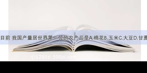 目前 我国产量居世界第一位的农产品是A.棉花B.玉米C.大豆D.甘蔗