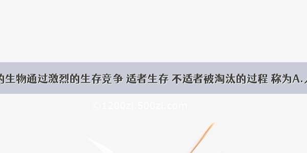 自然界中的生物通过激烈的生存竞争 适者生存 不适者被淘汰的过程 称为A.人工选择B.