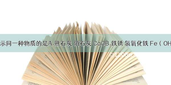 下列各组表示同一种物质的是A.熟石灰 消石灰 CaOB.铁锈 氢氧化铁 Fe（OH）3C.烧碱