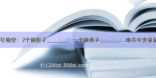 （1）用化学符号填空：2个铜原子______；一个钠离子______；地壳中含量最多的金属元素