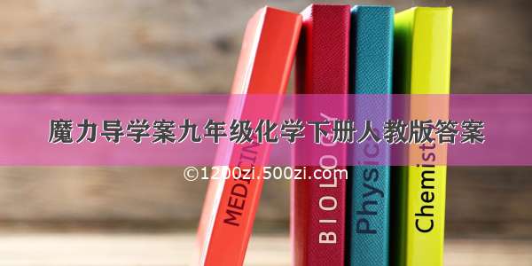 魔力导学案九年级化学下册人教版答案