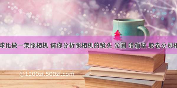 如果把眼球比做一架照相机 请你分析照相机的镜头 光圈 暗箱壁 胶卷分别相当于眼球