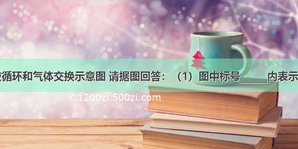 下面是血液循环和气体交换示意图 请据图回答：（1）图中标号______内表示的血液方向