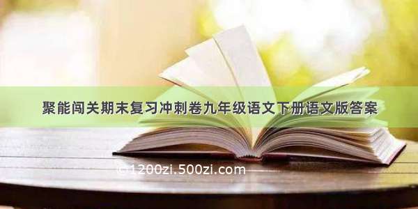 聚能闯关期末复习冲刺卷九年级语文下册语文版答案