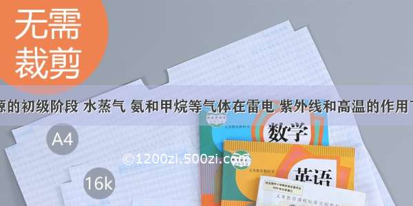 在生命起源的初级阶段 水蒸气 氨和甲烷等气体在雷电 紫外线和高温的作用下形成了A.