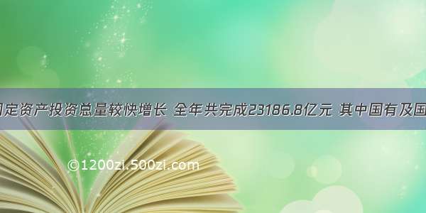  某省固定资产投资总量较快增长 全年共完成23186.8亿元 其中国有及国有控股